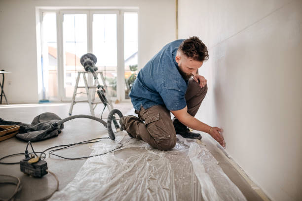 Best Ceiling Drywall Installation  in Superior, NE